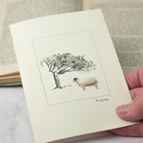 Sheep greetings card - mule and windswept tree