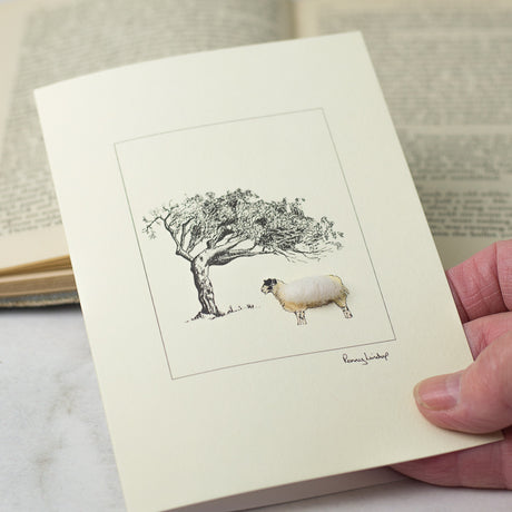 Sheep greetings card - mule and windswept tree