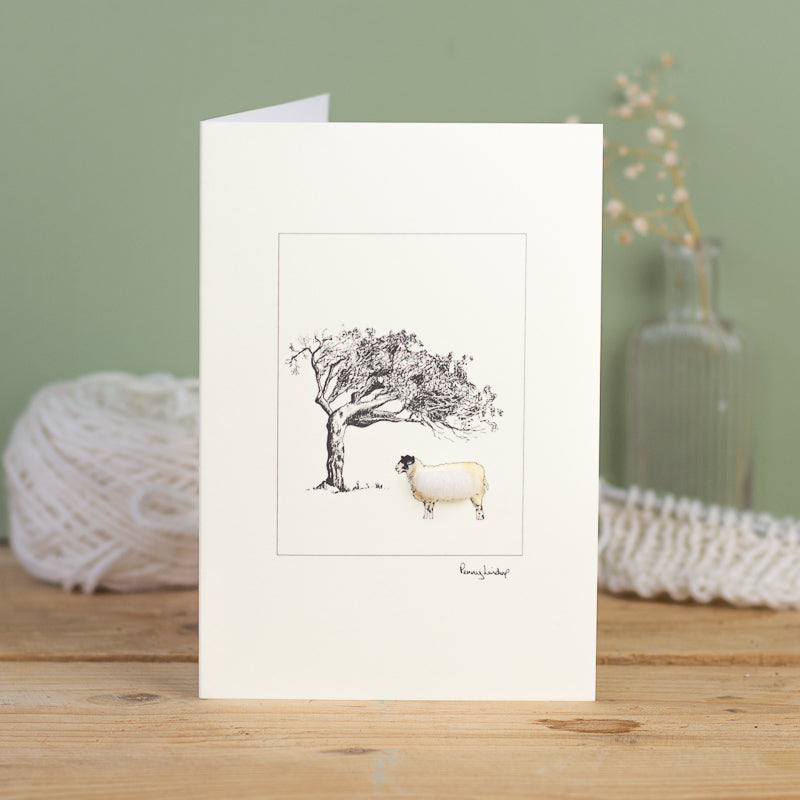 Sheep greetings card - mule and windswept tree