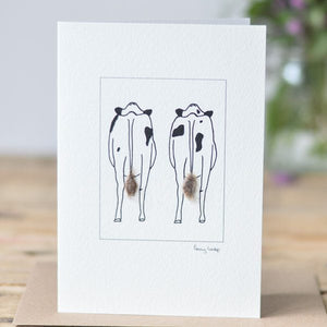 Cow greetings card - 2 Friesian cows