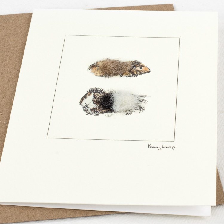 Guinea Pig card