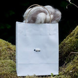 Sheep Gift Bag