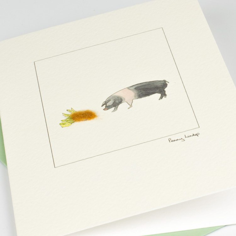 British Saddleback Pig greetings card