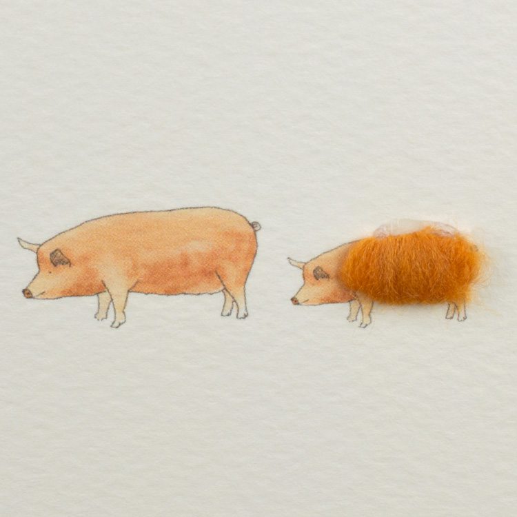 Tamworth Pigs greetings card