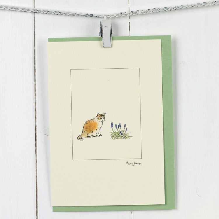 Ginger and White Cat greetings card