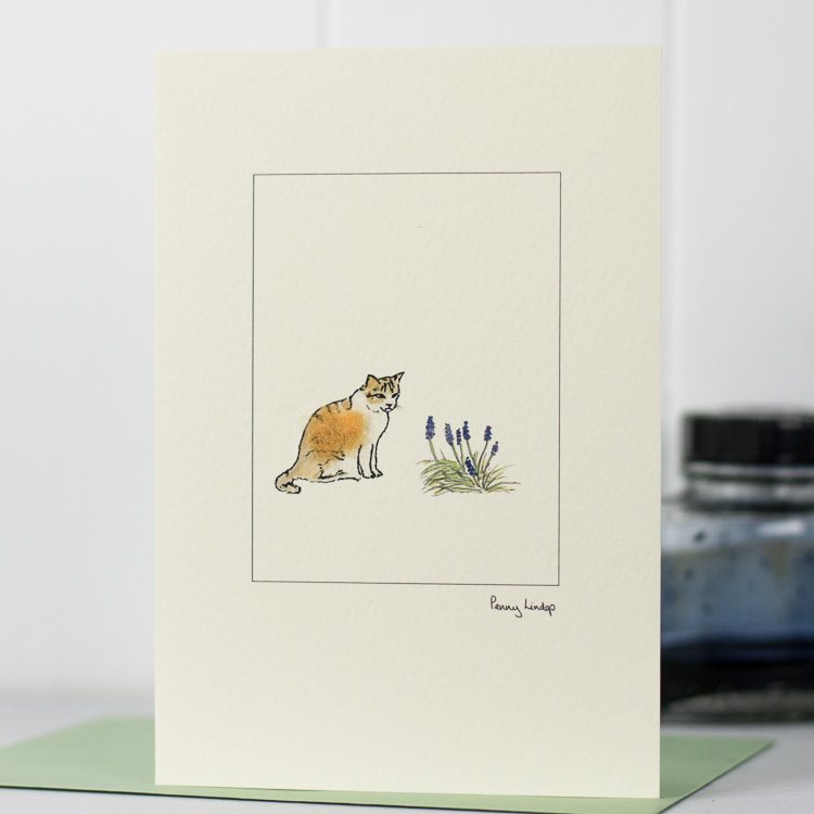 Ginger and White Cat greetings card
