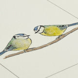 Blue Tits greetings card