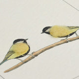 Great Tits greetings card