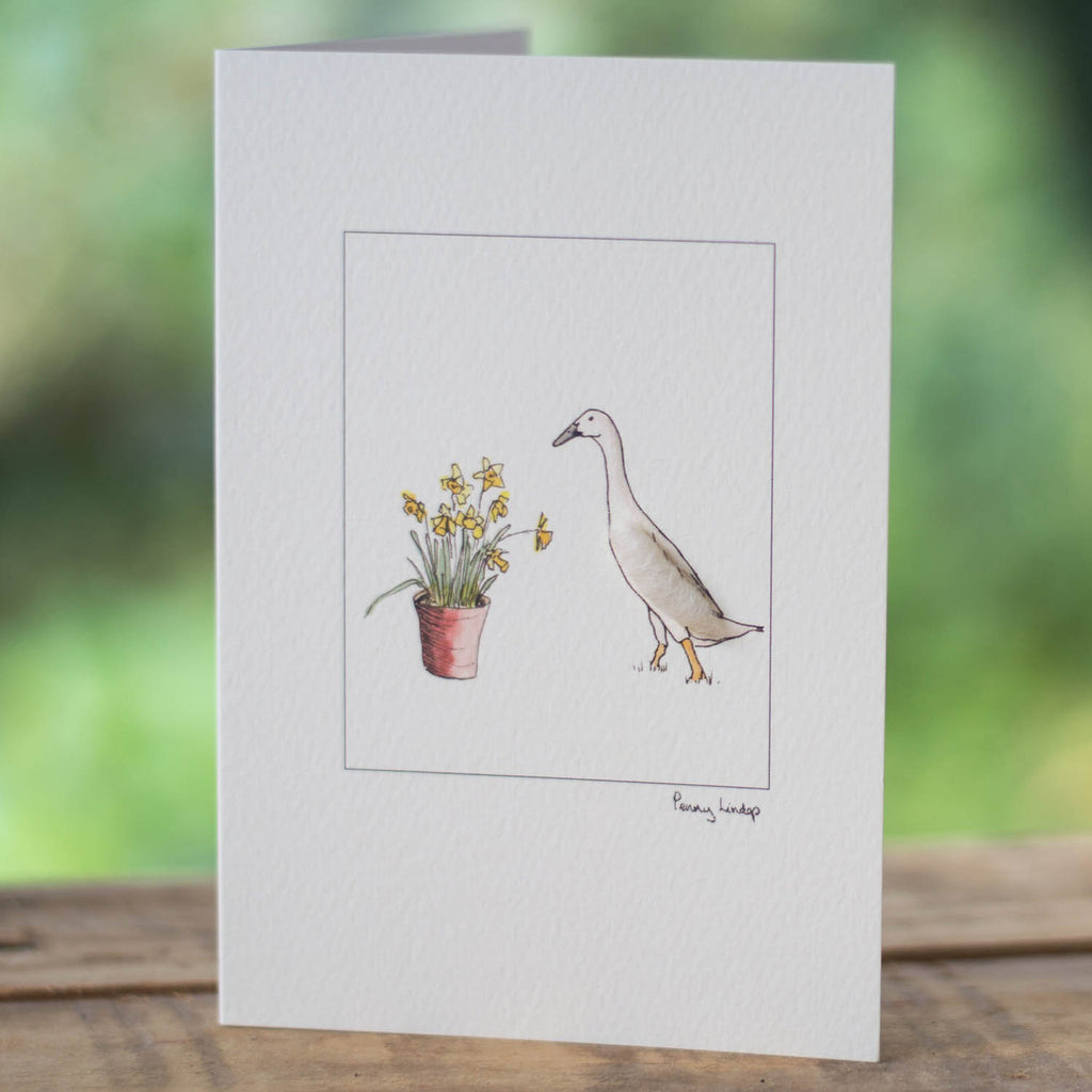 Indian Runner Duck & Daffodils greetings card