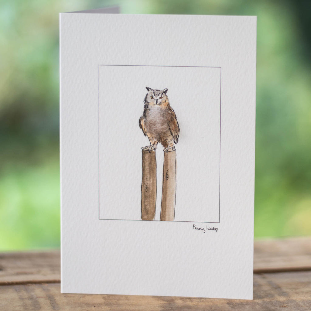 Eagle Owl greetings card