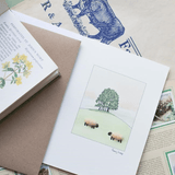Apricot Sheep Watercolour Card